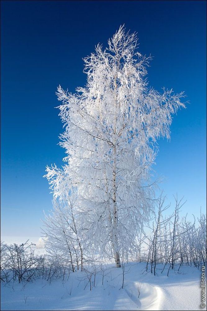 Белое на голубом