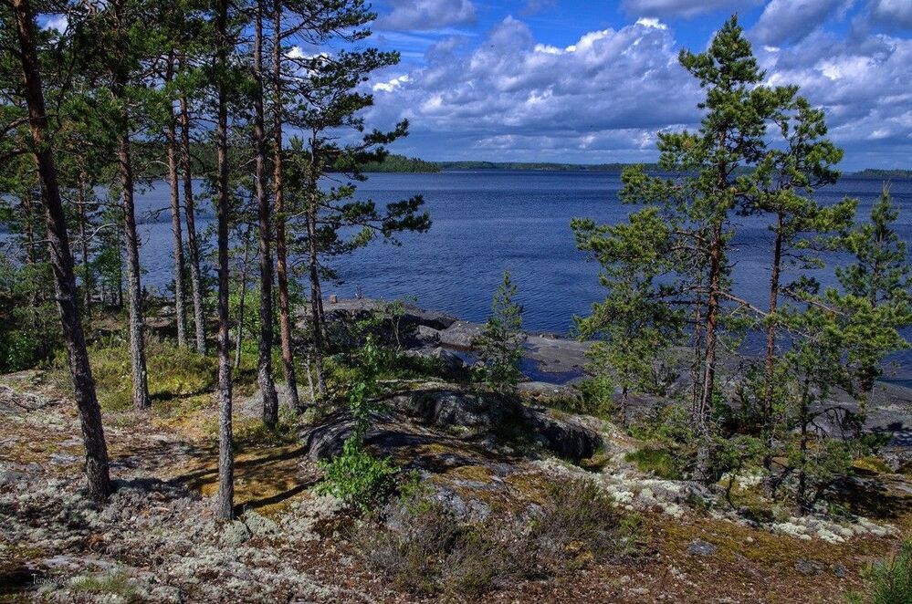 Ладожские берега