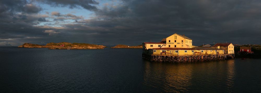 sheltering cod