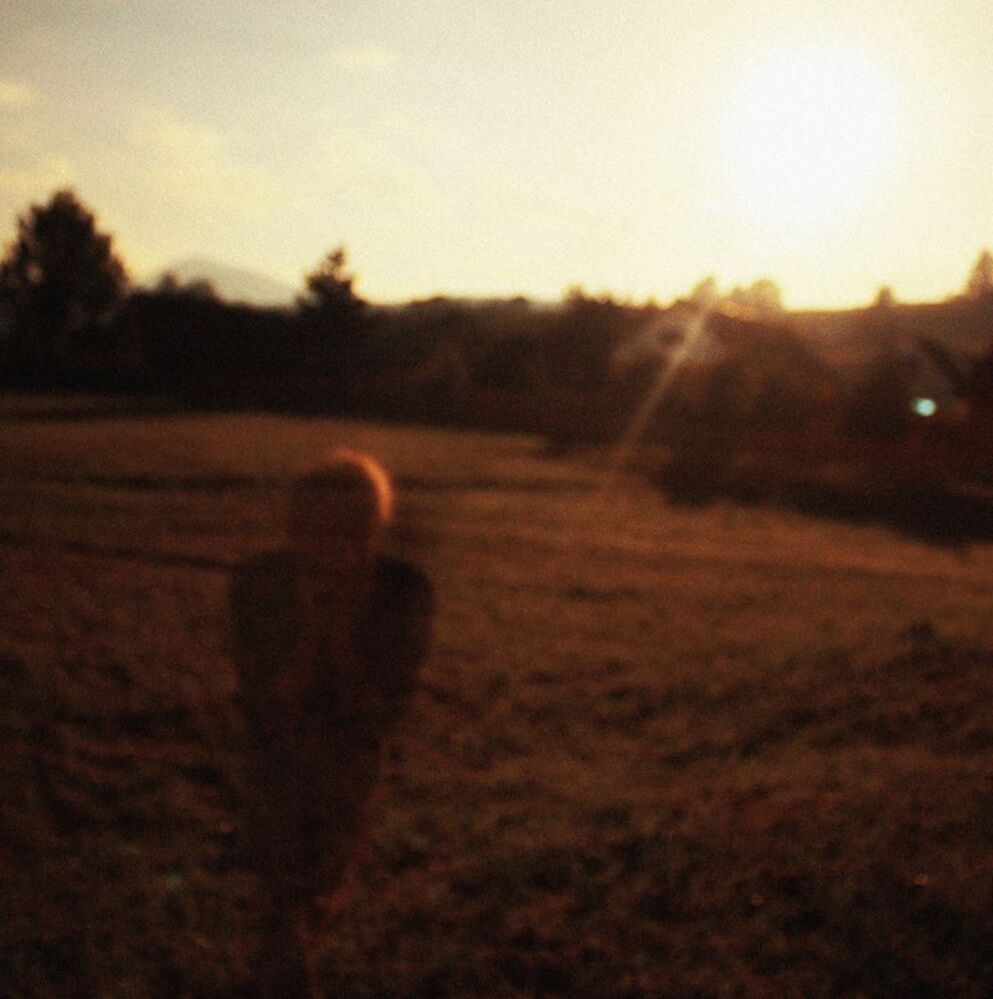 _