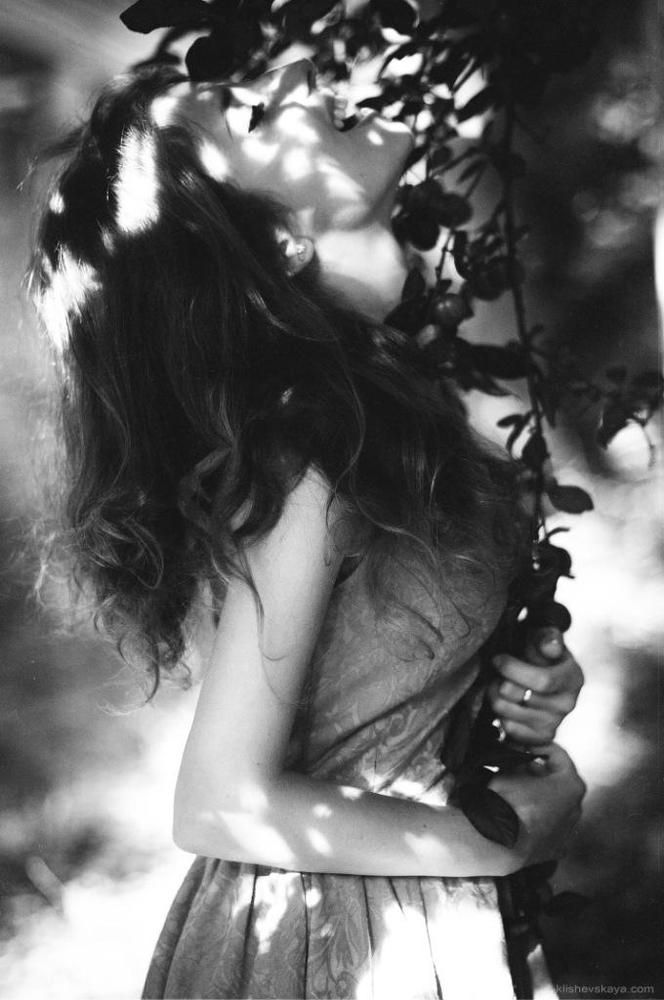 Photo 417859