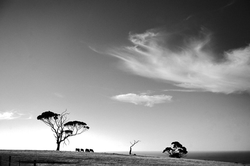 Cosmic Australia