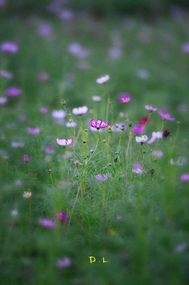 Photo 418162