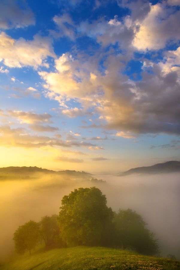 Unreal World