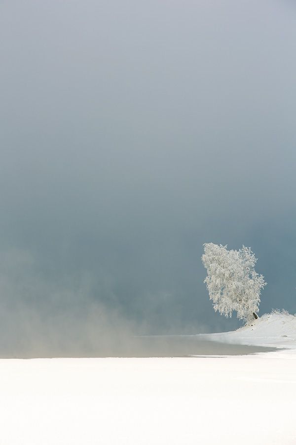 Winter&rainbow