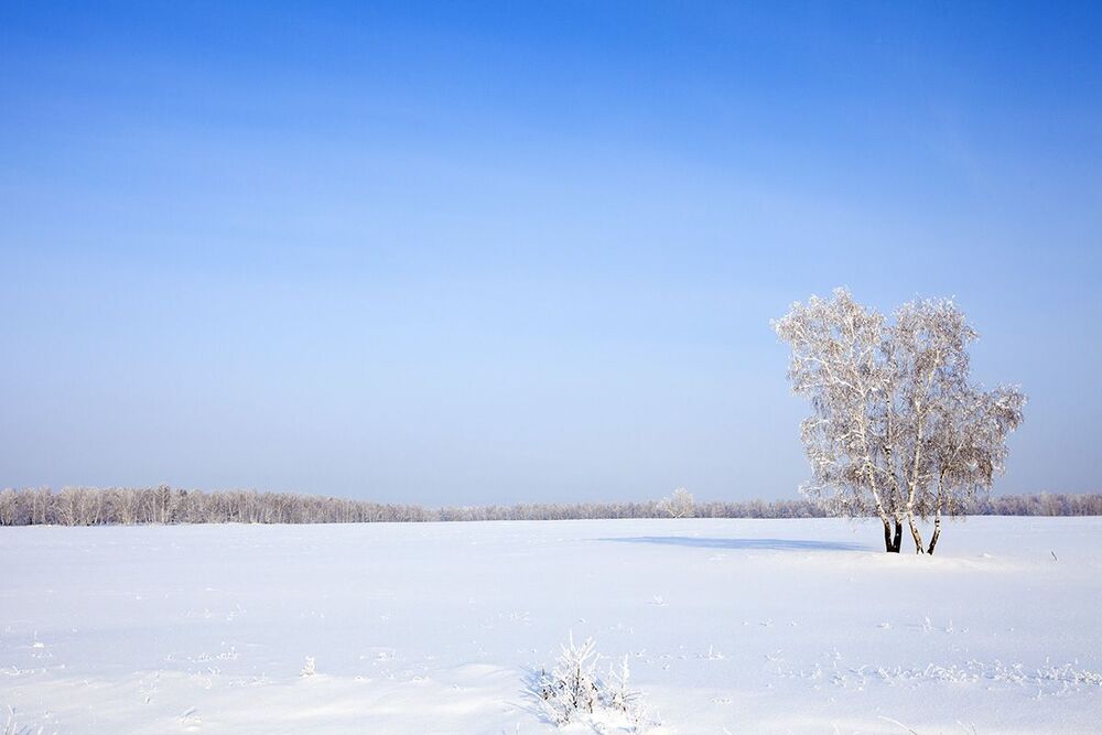 Winter&rainbow