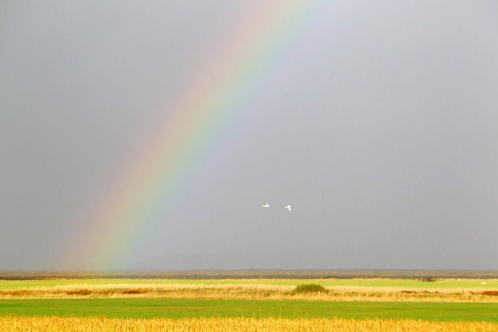 Winter&rainbow
