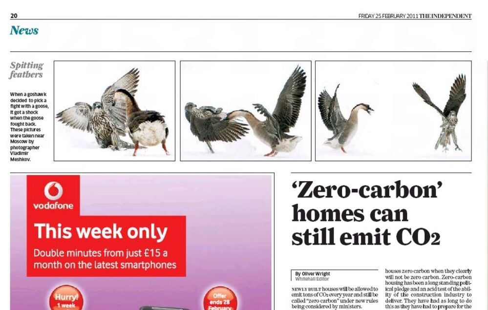 Publication in The Independent. England.