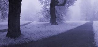 щелчком по картинке открывается полный размер, если у кого небольшой монитор