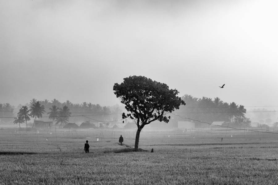 The village scene from Krishnagiri, INDIA