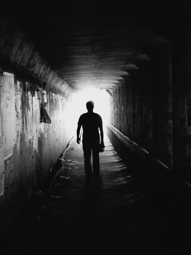 The lone wolf