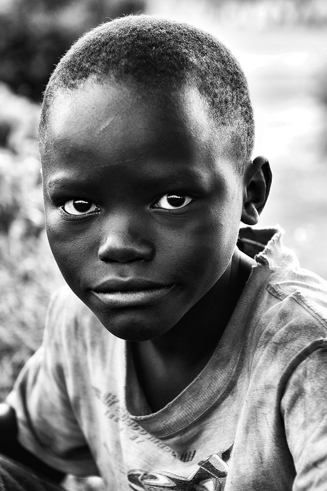 Photo 421258