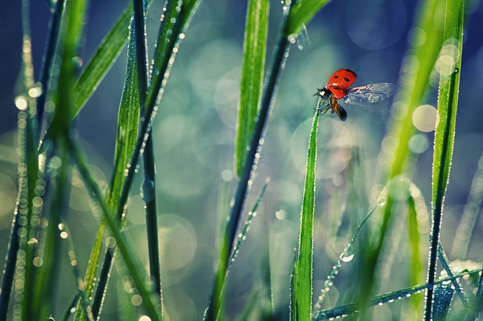 Photo 421261