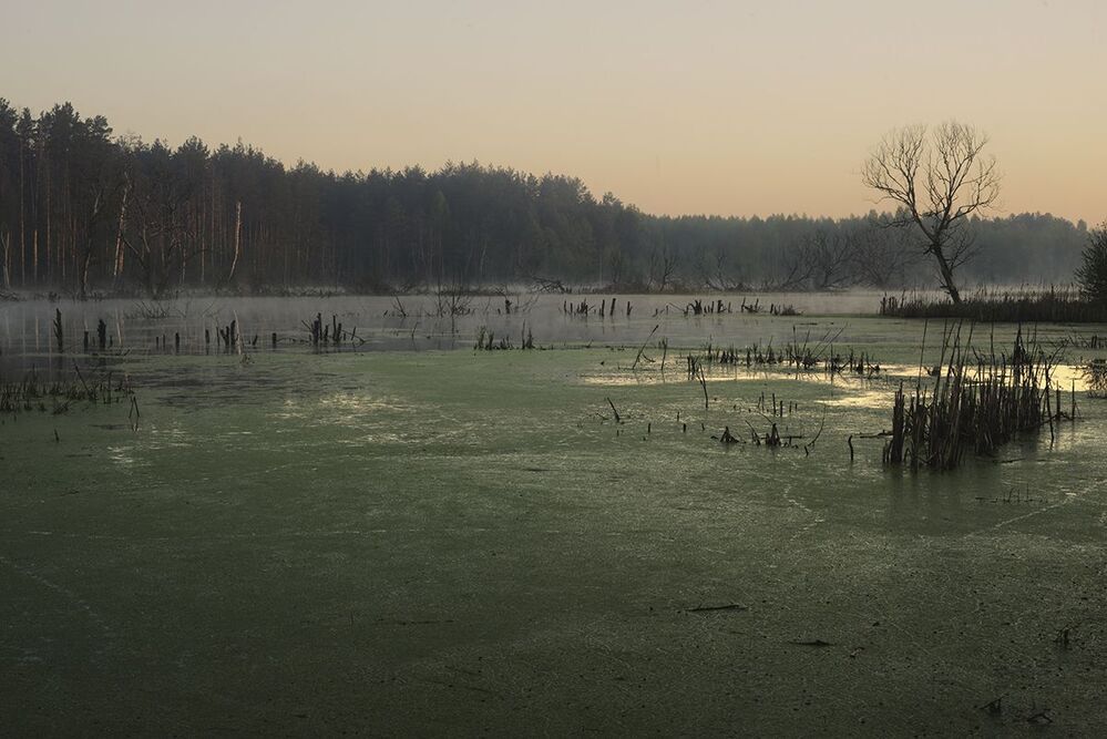 Photo 421821