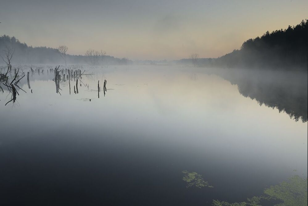 Photo 421822