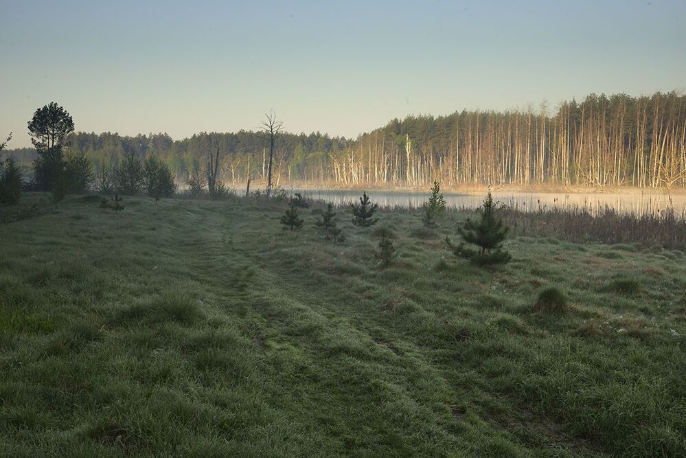 Photo 421823