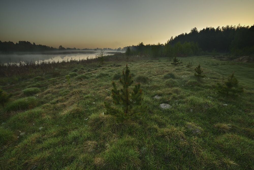 Photo 421824