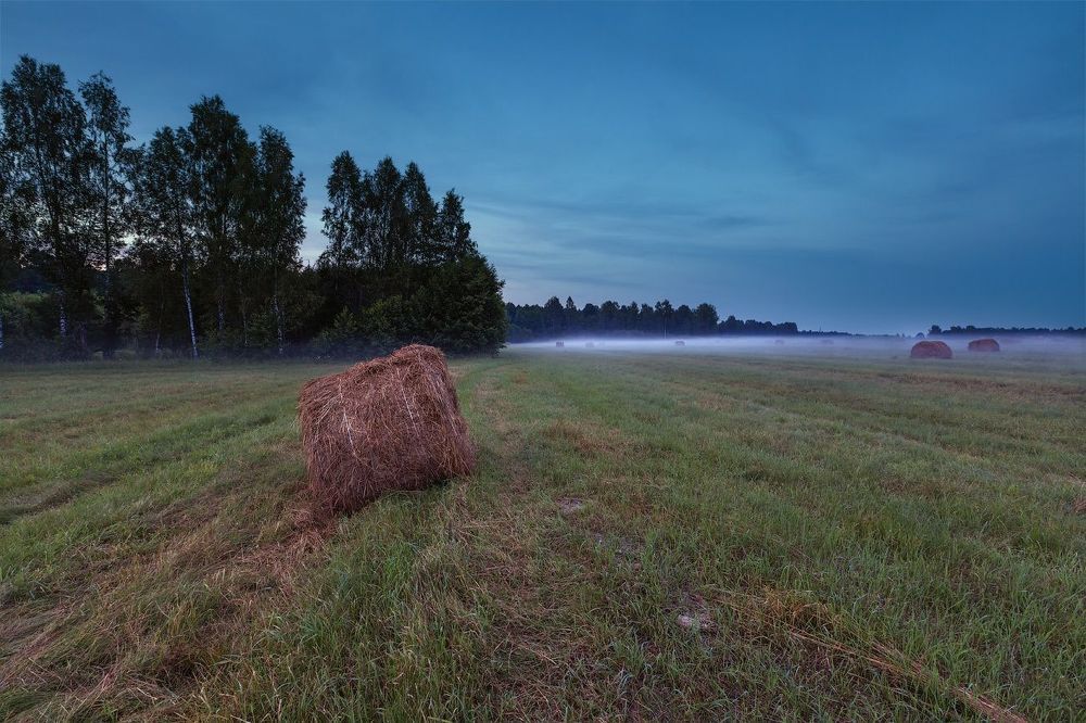 Вечер  поле сено туман