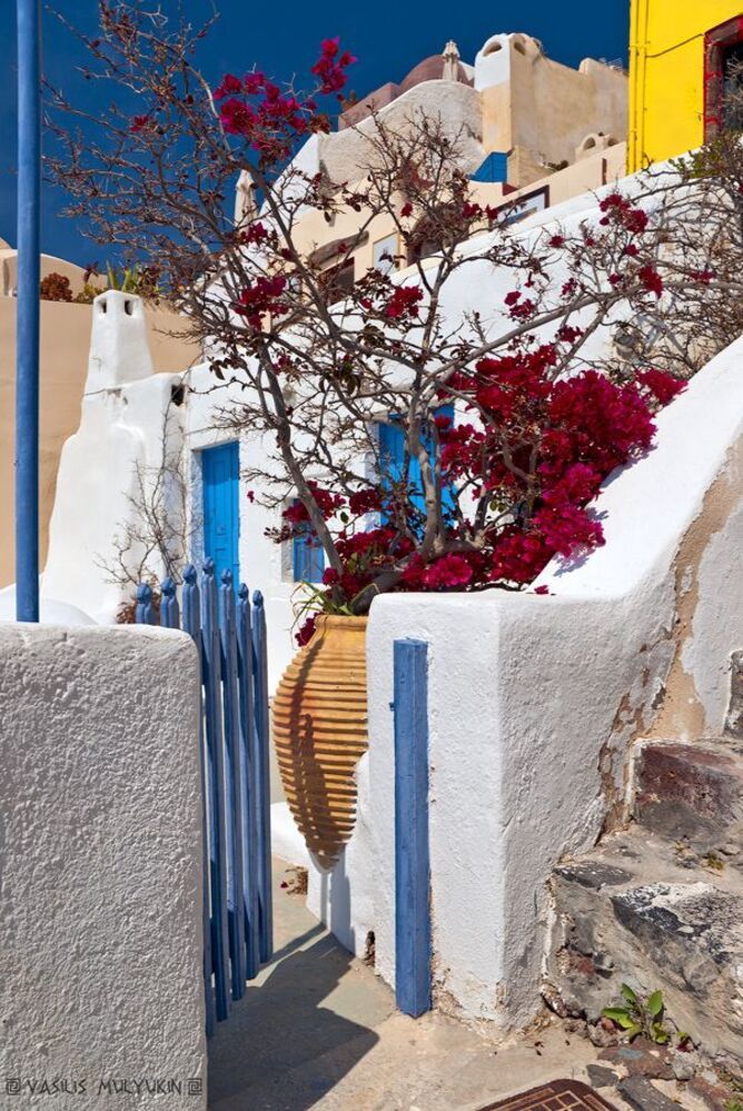 ... лестницы, ступени, горшки, цветы ... Santorini