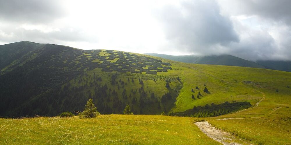 The road in the mountains
