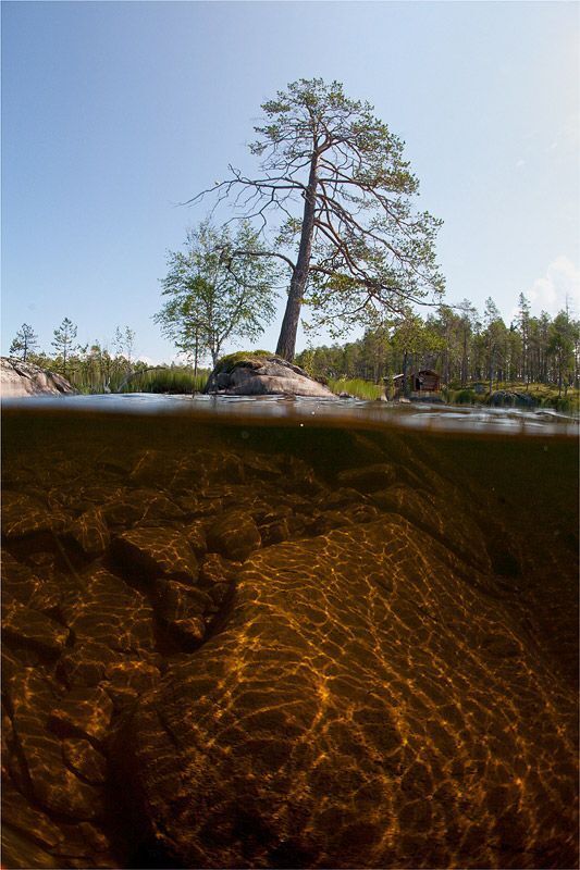 Подводная Карелия. Часть II.