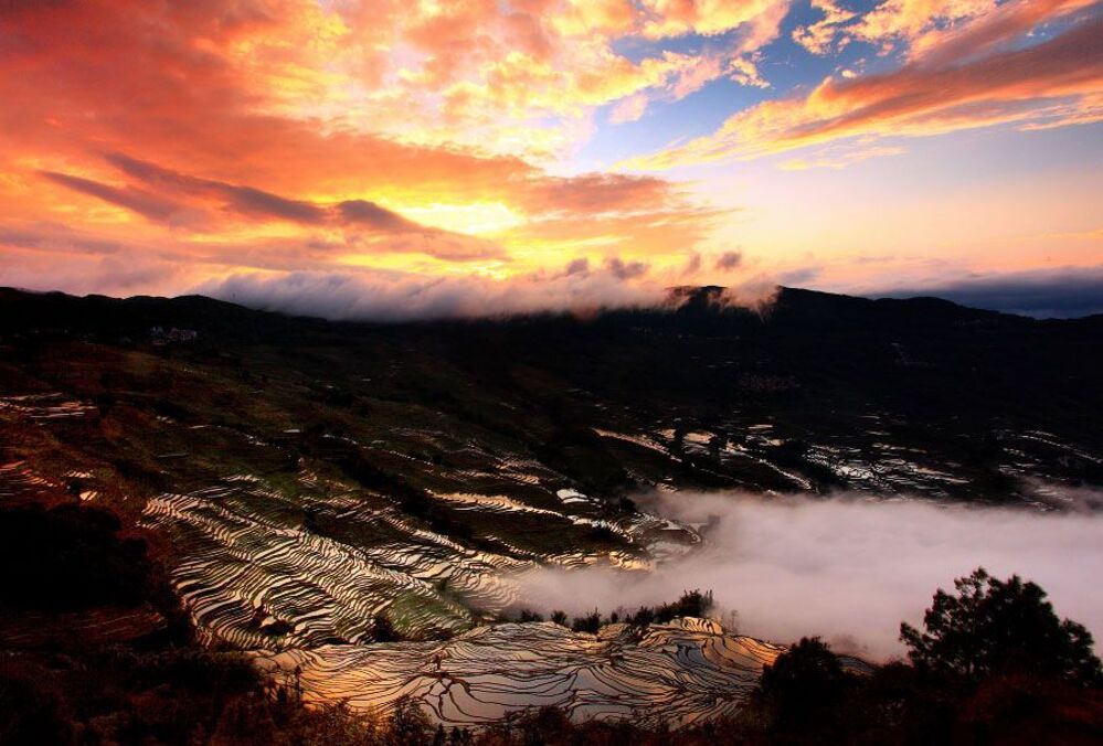 Terraces