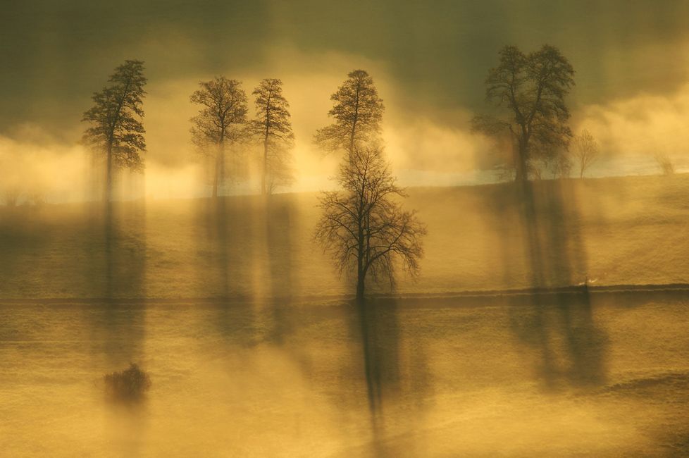 On the mist