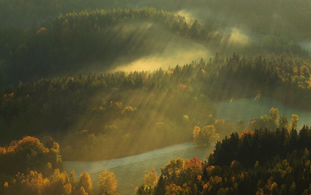 Light