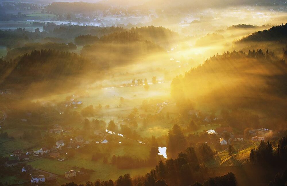 Morning