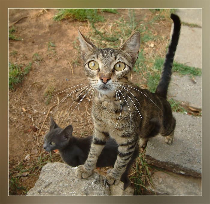 Взгляни в мои глаза