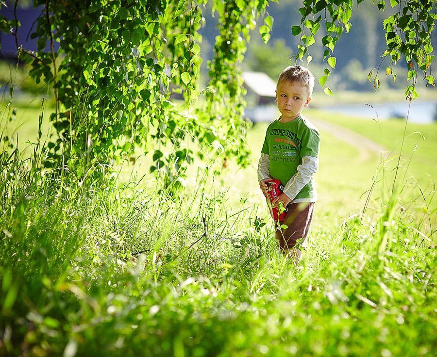 Photo 426538