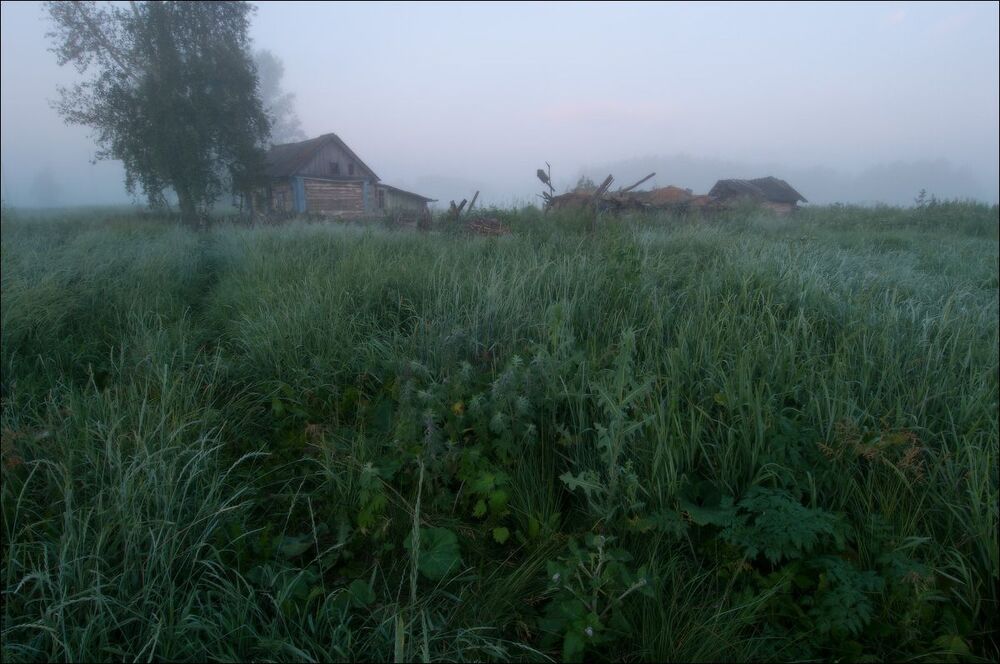 Photo 426559