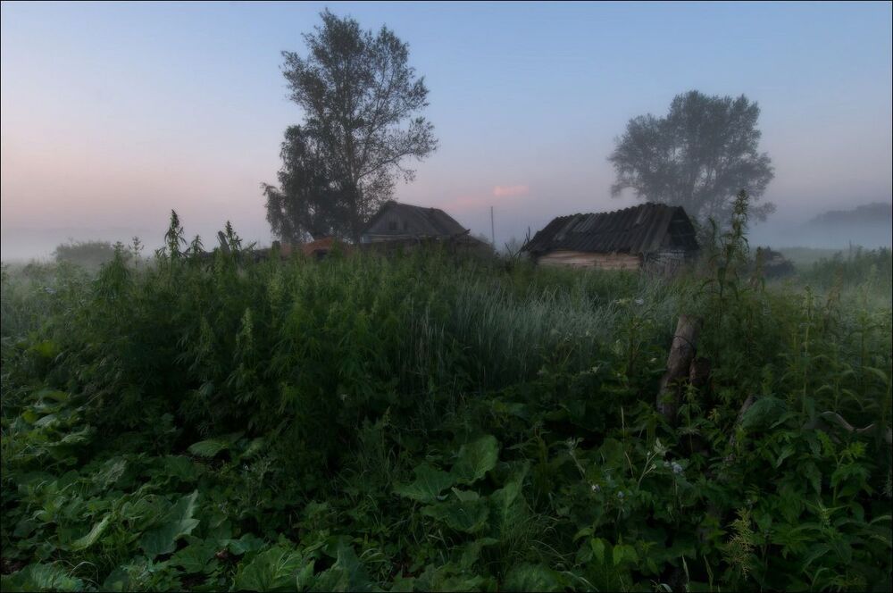 Photo 426560