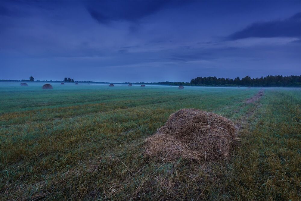 В Поле вечер