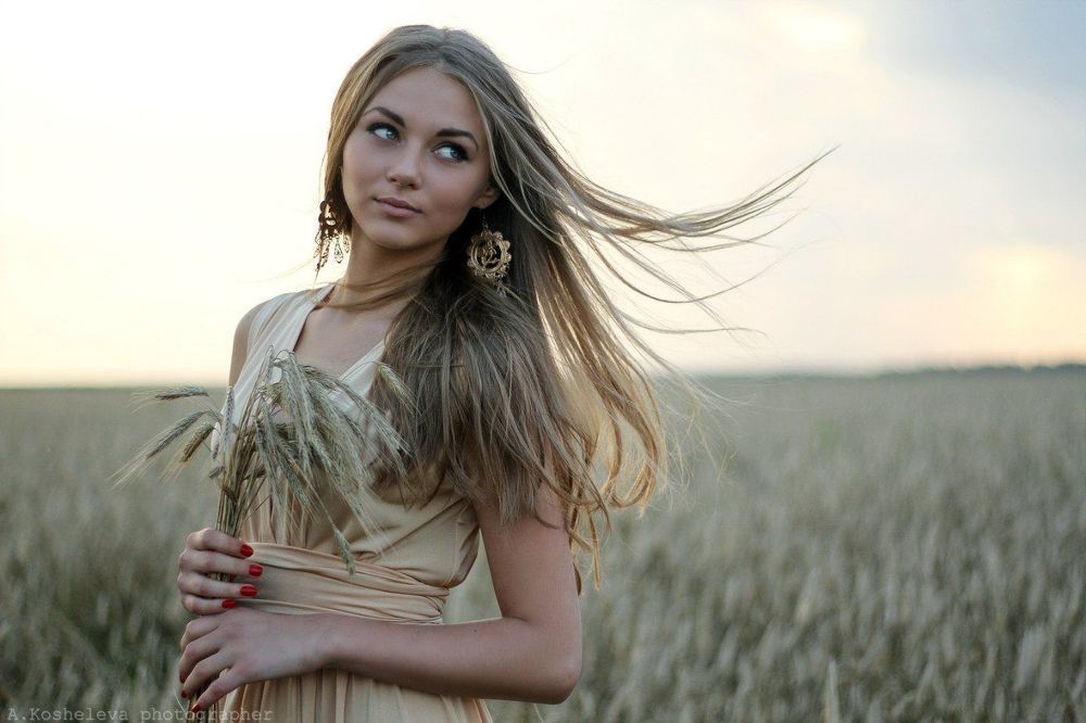 пшеница