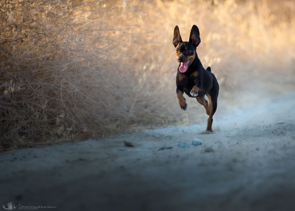 minPin