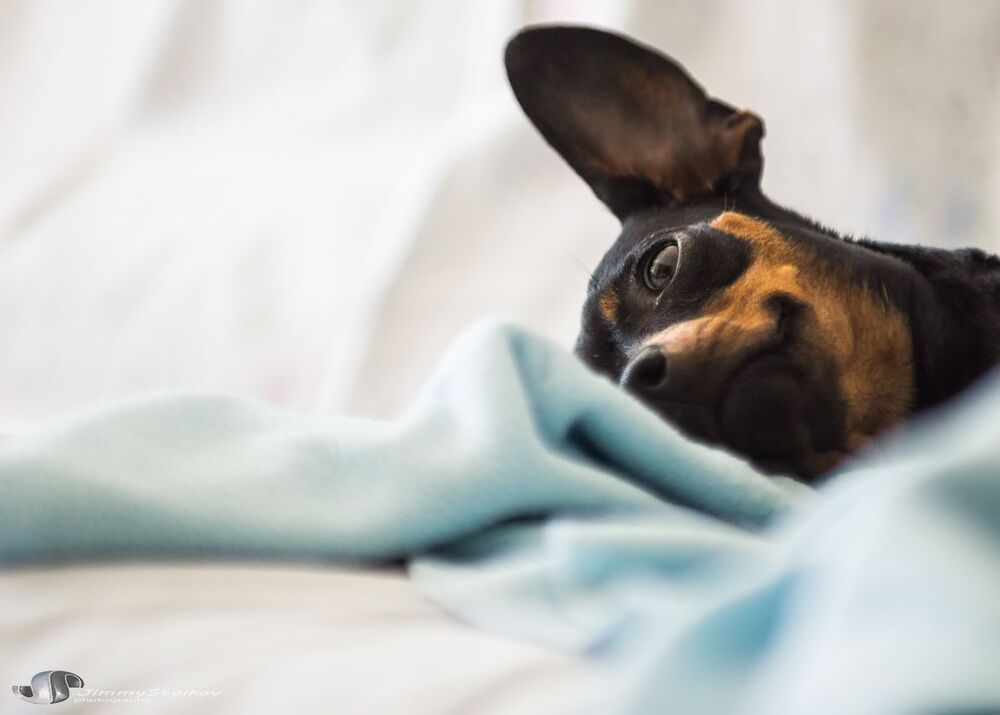 minPin