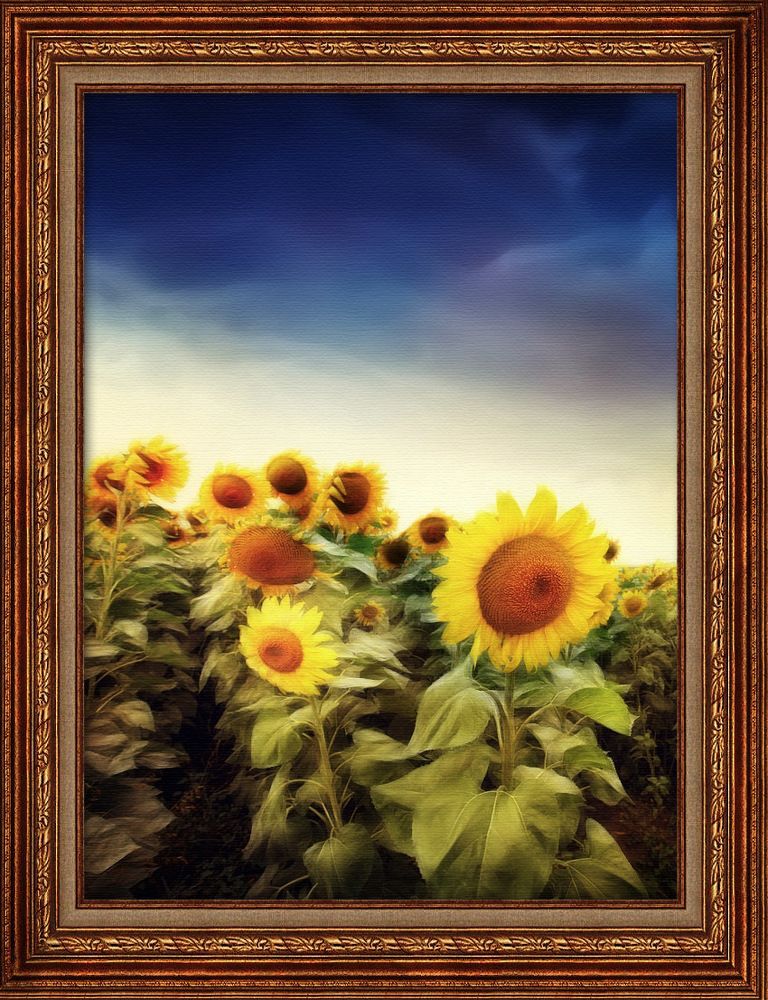 ---= sunflowers # 2=---