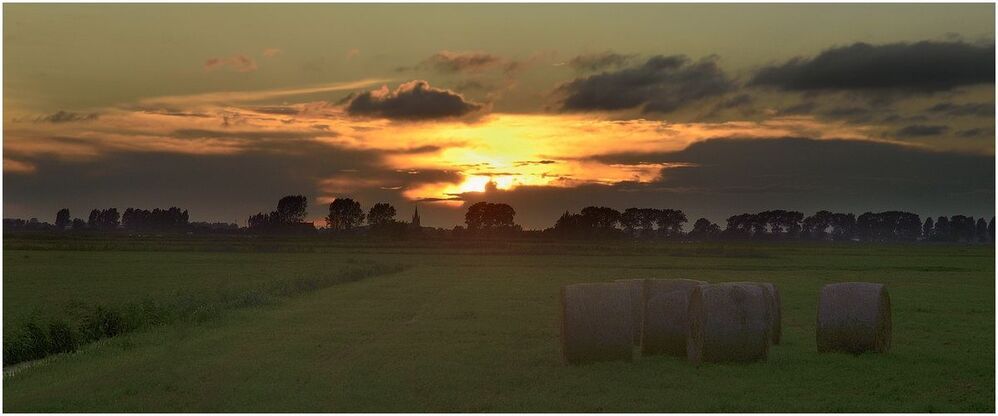 A summer evening in Noordschote.