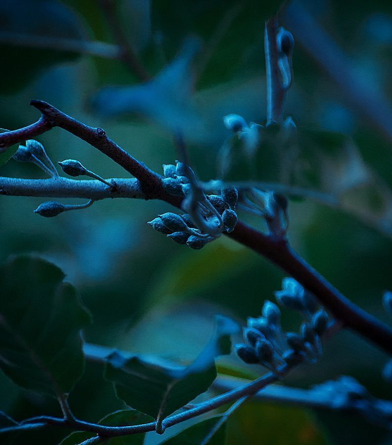 Dark World