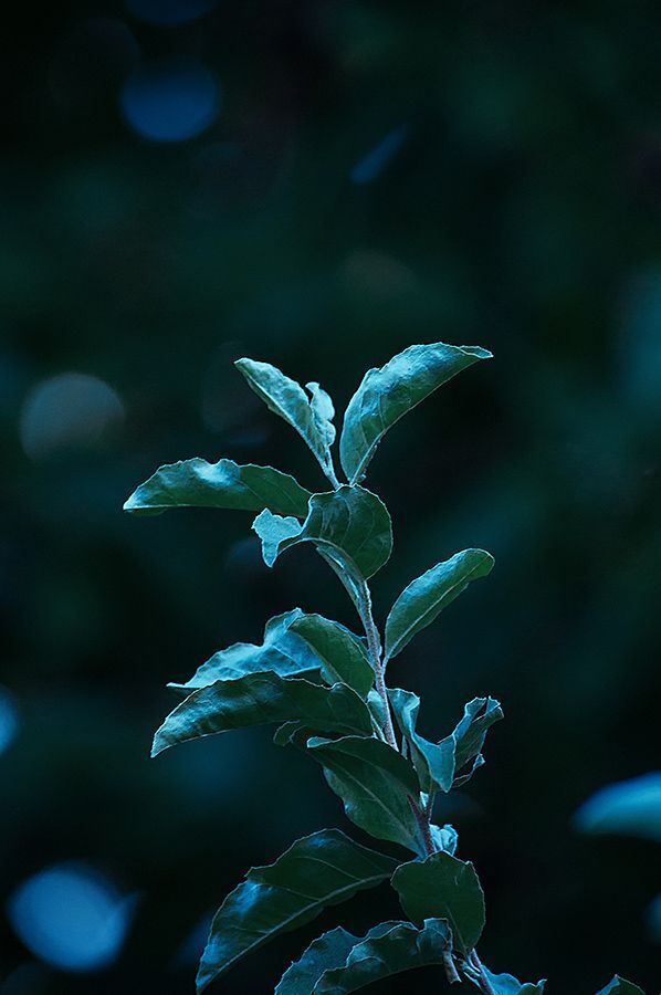 Dark World