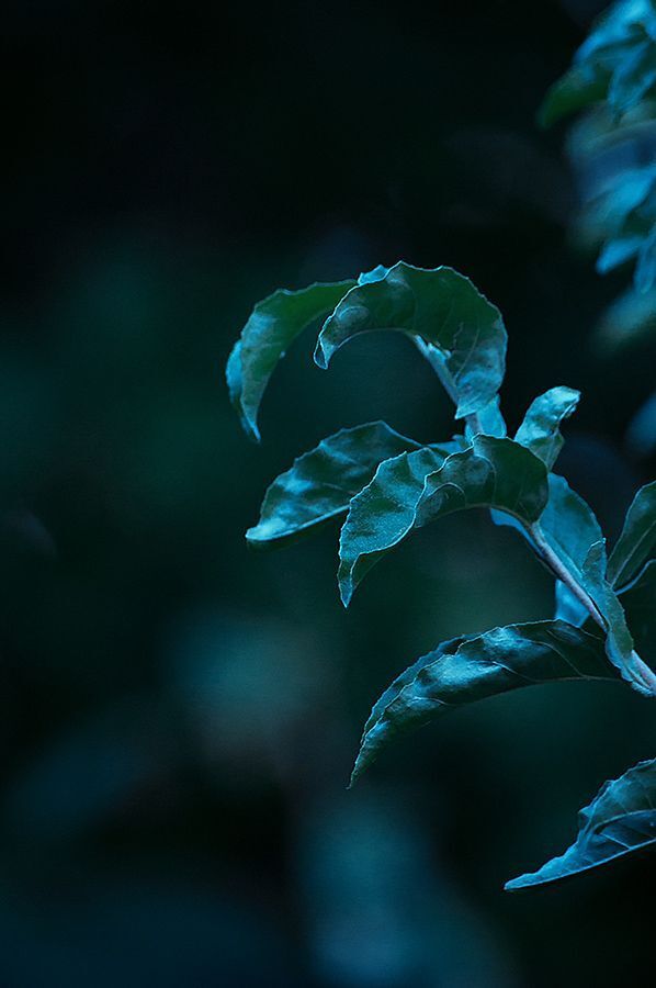 Dark World