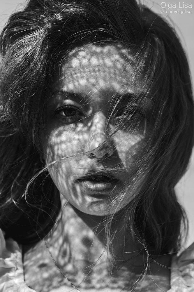 shadows
