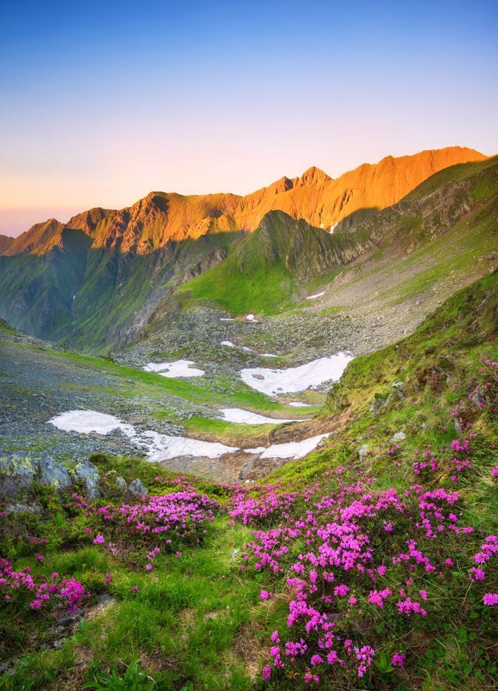Carpathians wilderness
