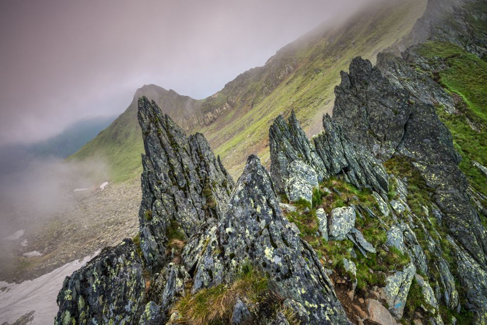 Carpathians wilderness