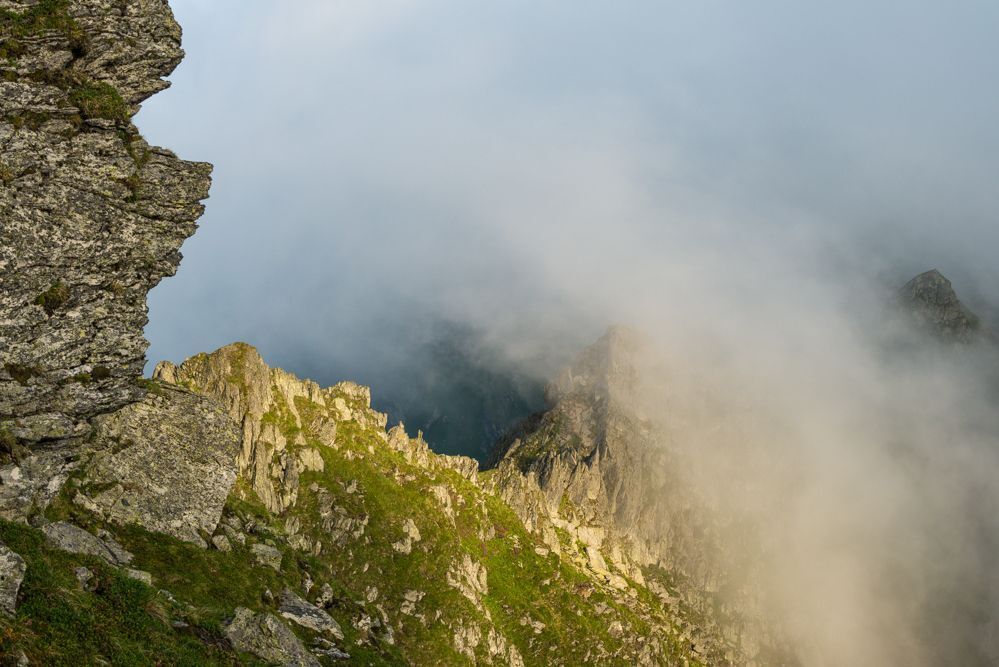 Carpathians wilderness