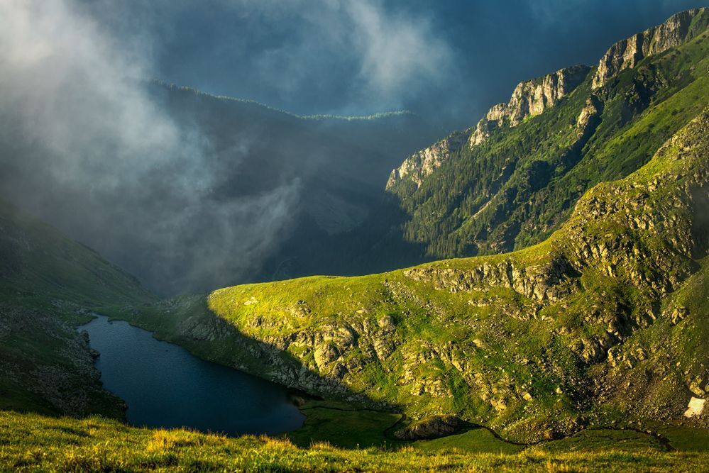 Carpathians wilderness