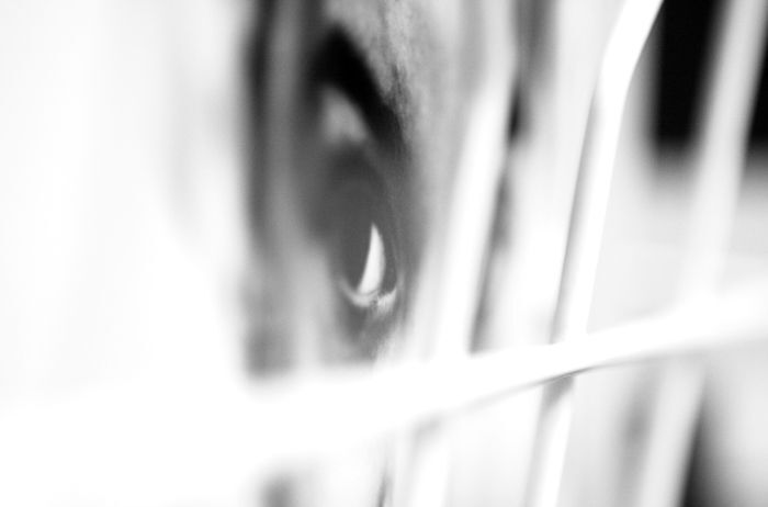 Photo 43624
