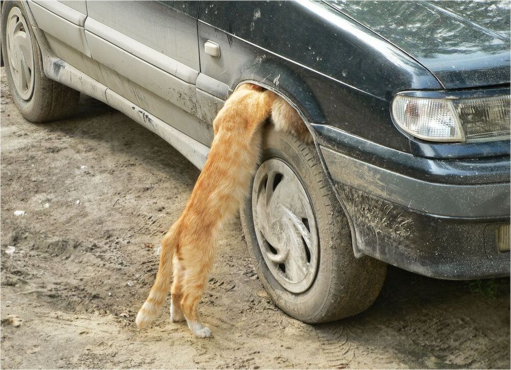 Попытка два...