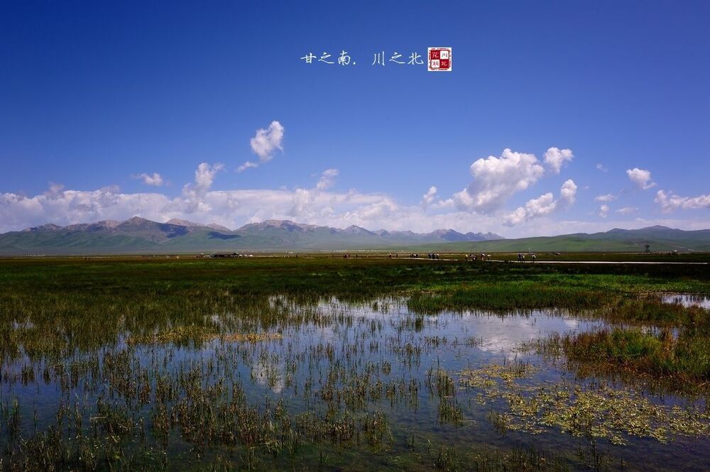 Photo 430832